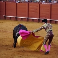 2014.06.22-266.JPG
