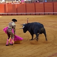 2014.06.22-269.JPG