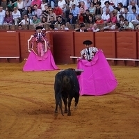 2014.06.22-273.JPG