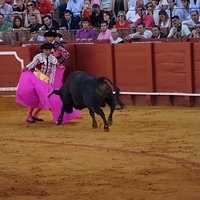 2014.06.22-276.JPG