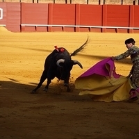 2014.06.22-280.JPG