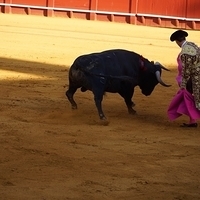 2014.06.22-281.JPG