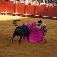 2014.06.22-296.JPG