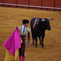 2014.06.22-298.JPG