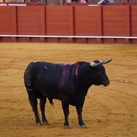 2014.06.22-299.JPG