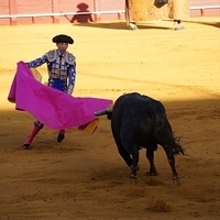 2014.06.22-302.JPG