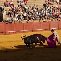 2014.06.22-305.JPG