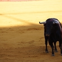 2014.06.22-306.JPG