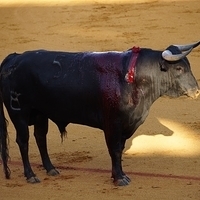 2014.06.22-307.JPG