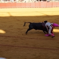 2014.06.22-308.JPG