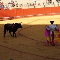 2014.06.22-309.JPG