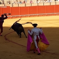 2014.06.22-310.JPG