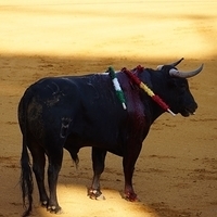2014.06.22-313.JPG