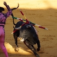 2014.06.22-314.JPG