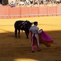 2014.06.22-315.JPG