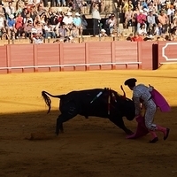 2014.06.22-317.JPG