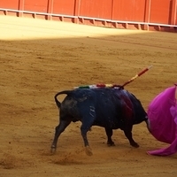 2014.06.22-319.JPG