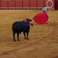 2014.06.22-321.JPG