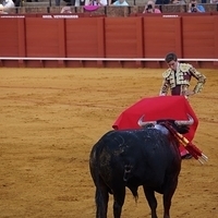 2014.06.22-322.JPG