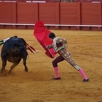 2014.06.22-324.JPG
