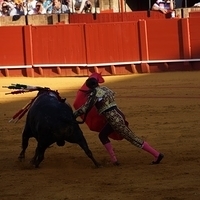 2014.06.22-327.JPG