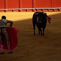 2014.06.22-328.JPG