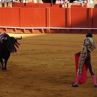2014.06.22-329.JPG