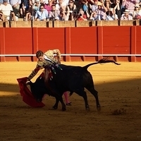 2014.06.22-330.JPG