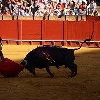2014.06.22-332.JPG