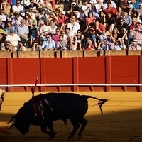 2014.06.22-333.JPG