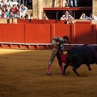 2014.06.22-336.JPG