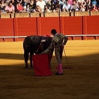 2014.06.22-339.JPG