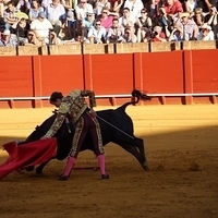 2014.06.22-342.JPG