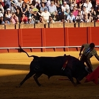2014.06.22-343.JPG