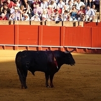 2014.06.22-344.JPG