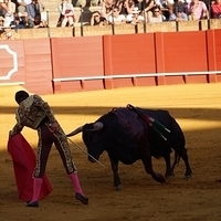 2014.06.22-346.JPG