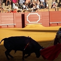 2014.06.22-347.JPG