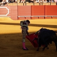 2014.06.22-348.JPG