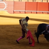2014.06.22-352.JPG