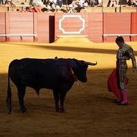 2014.06.22-353.JPG
