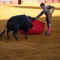 2014.06.22-354.JPG