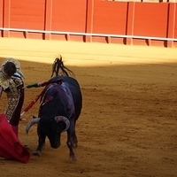 2014.06.22-356.JPG