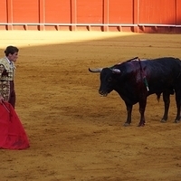 2014.06.22-357.JPG