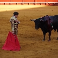 2014.06.22-358.JPG