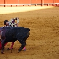 2014.06.22-360.JPG