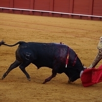 2014.06.22-361.JPG