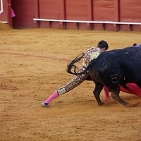 2014.06.22-363.JPG