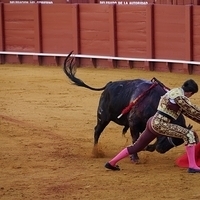 2014.06.22-364.JPG