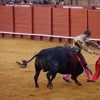 2014.06.22-365.JPG