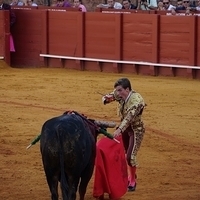 2014.06.22-366.JPG